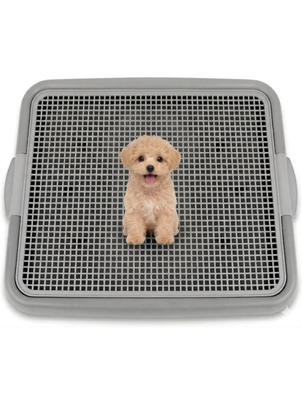 Puppy Potty Tray with Mesh - Leak-Proof Indoor Dog Toilet for Small Dogs